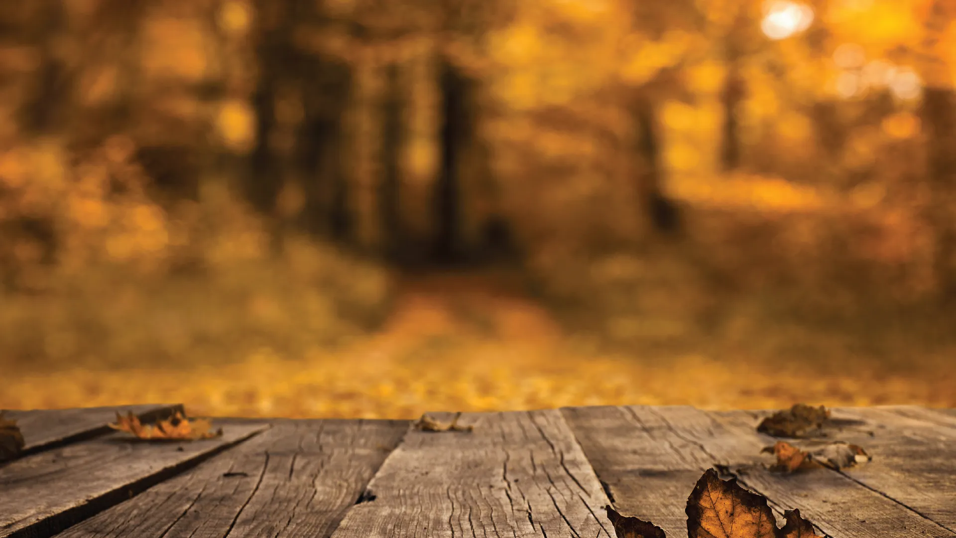 Sharing the Gospel: From Commission to Conversation